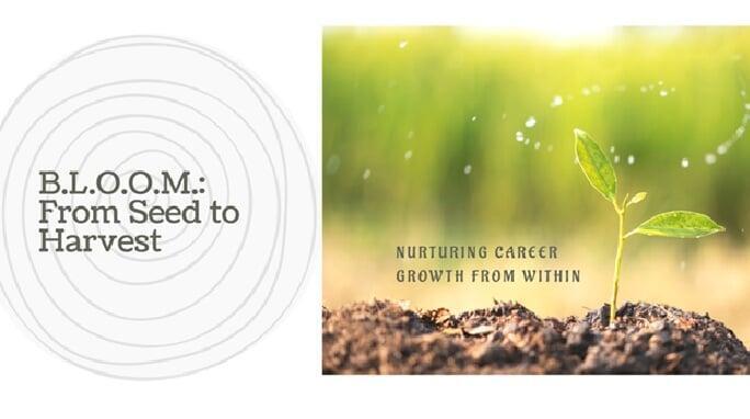 B.L.O.O.M.: From Seed to Harvest - the Tapestry of Career Paths
